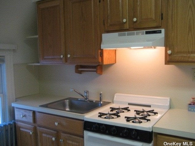 39 Carver St, Hunt NY  11743-3433 exterior