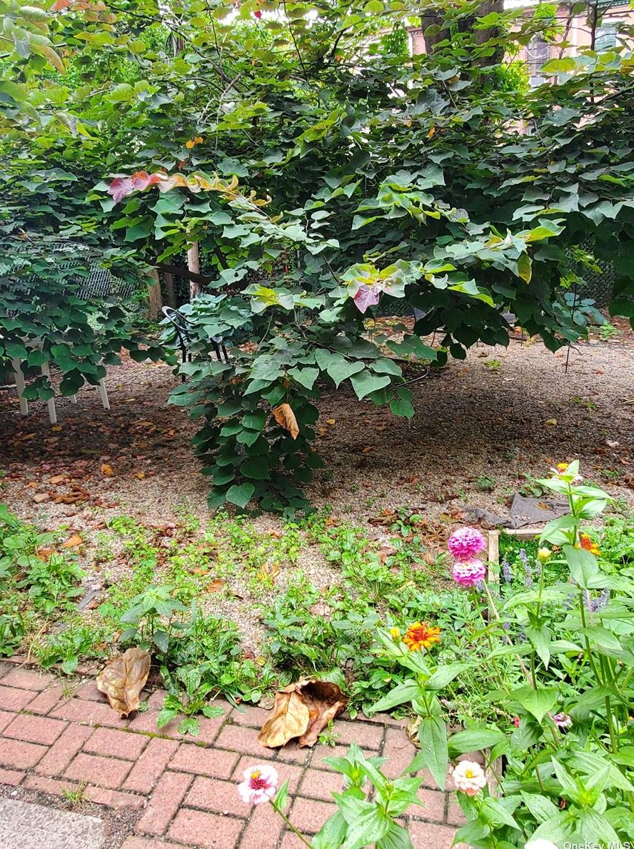 786 Madison St, Brooklyn NY  11221-3568 exterior