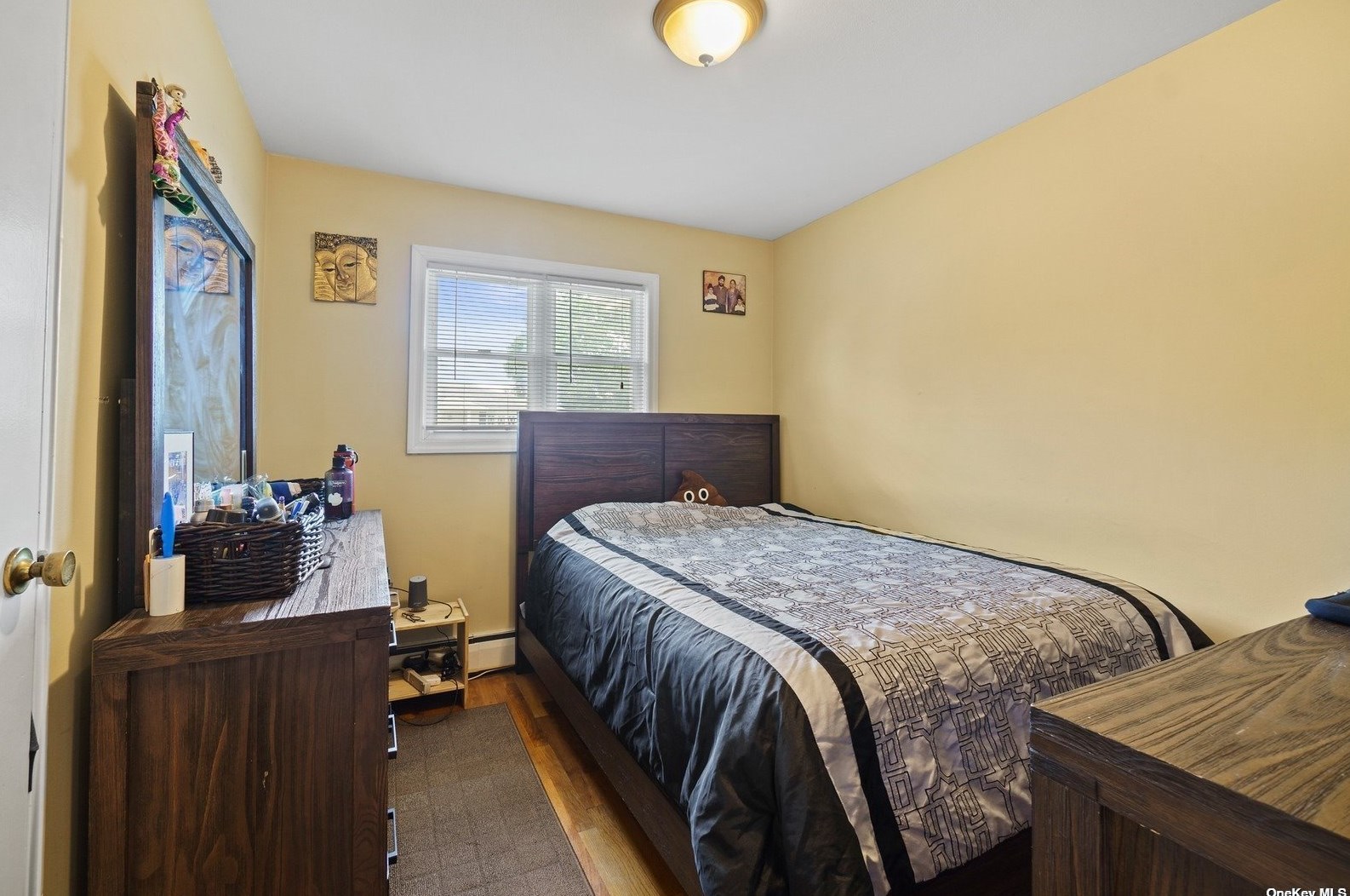 17 Lawrence Ct, Hicksville NY exterior