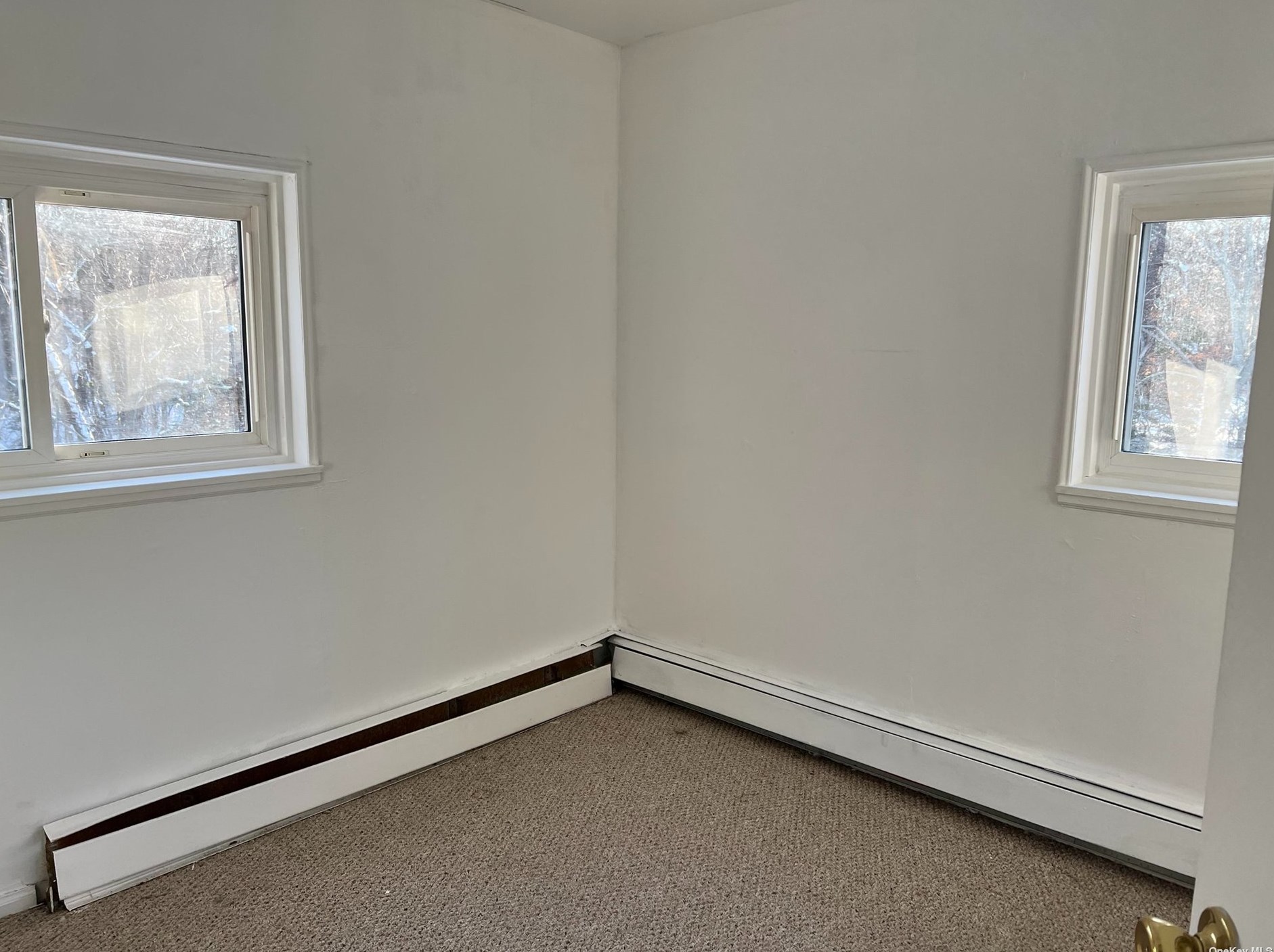 120 W Woodside Ave, Canaan Lake, NY 11772