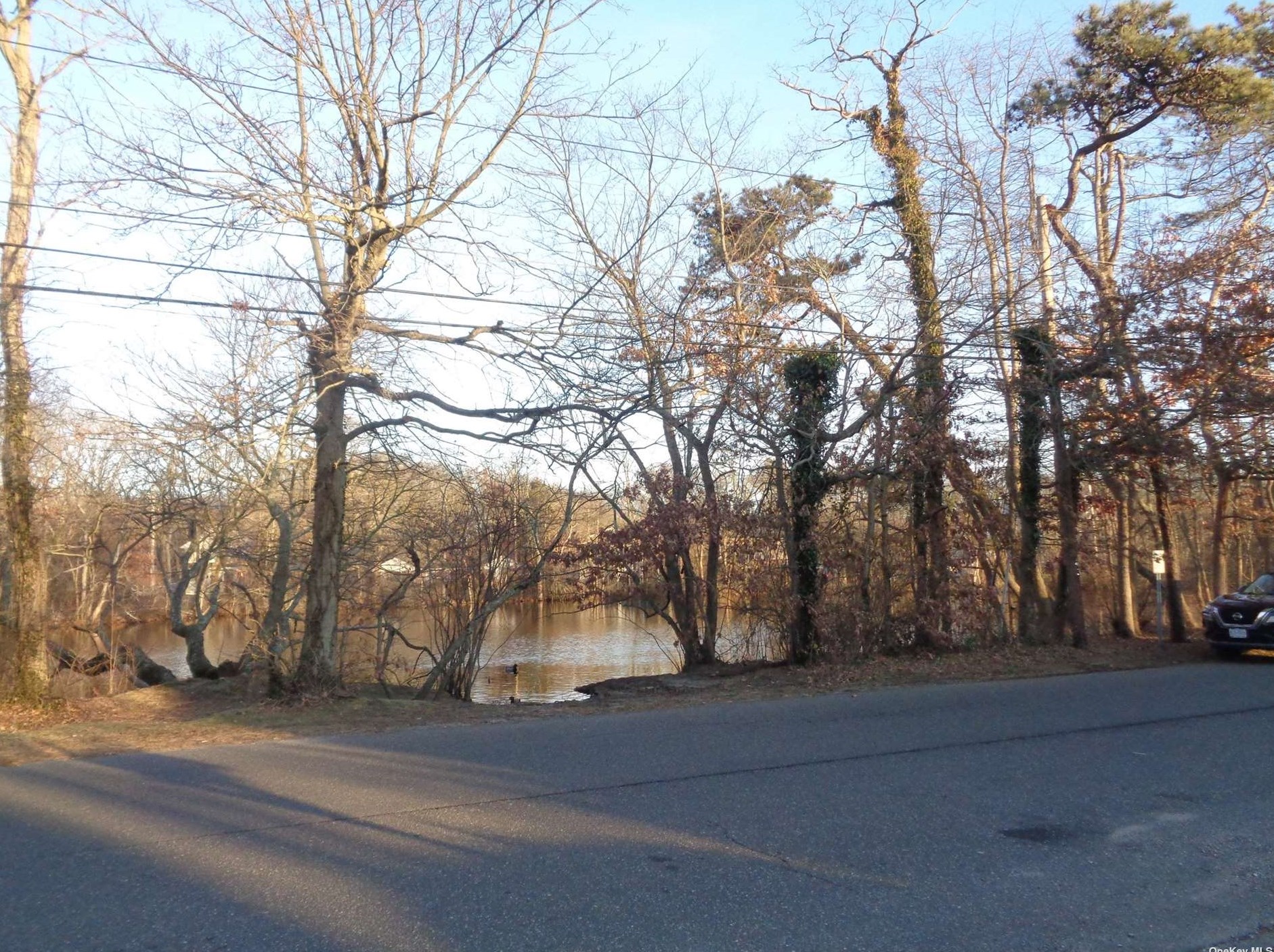 29 Mccall Ave, West Islip NY  11795-4334 exterior