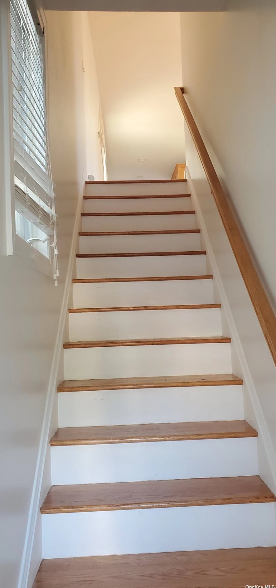 8519 60th Ave, Flushing, NY 11379-5429