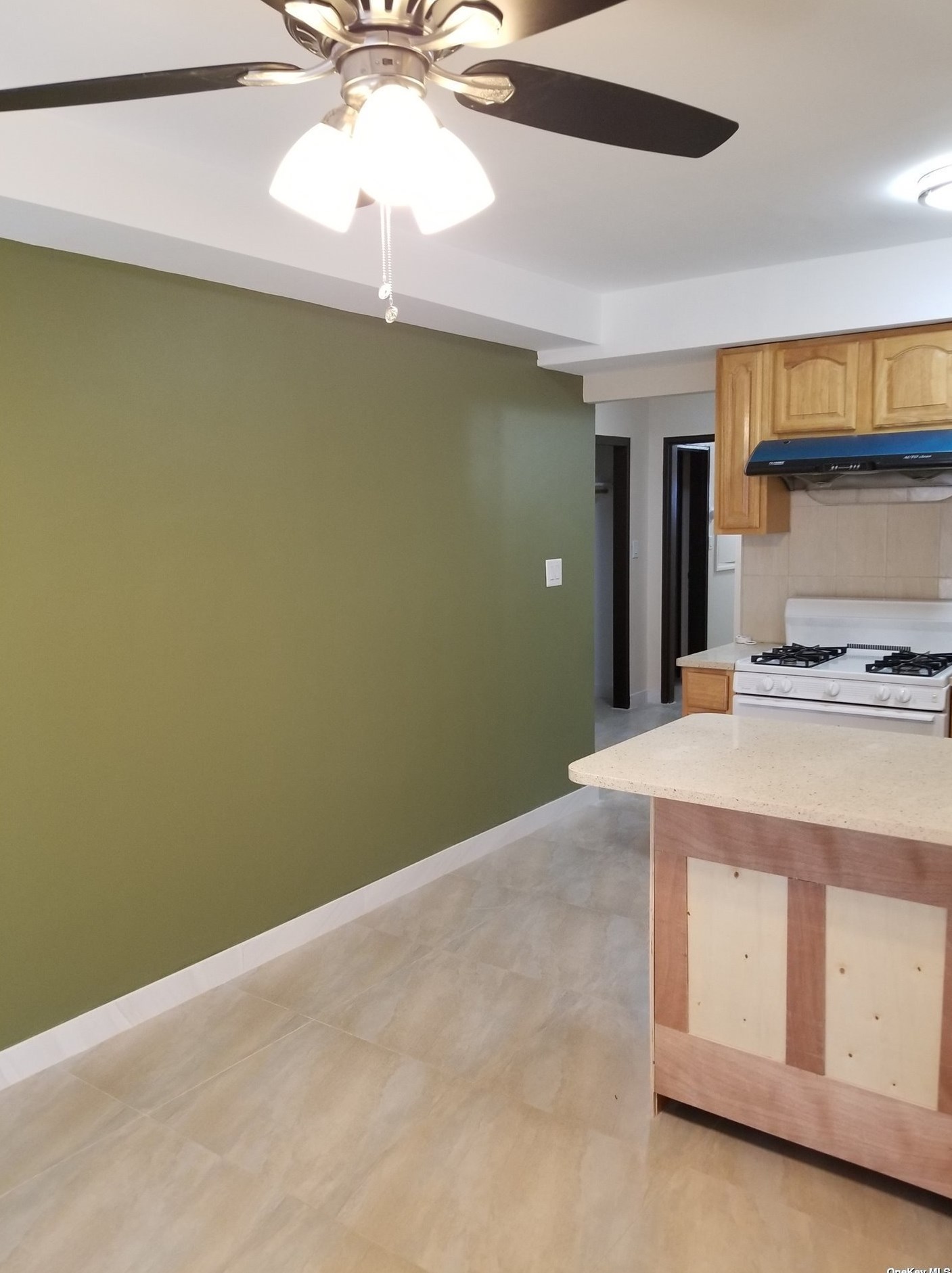 36 170th St, Flushing NY  11358-1517 exterior