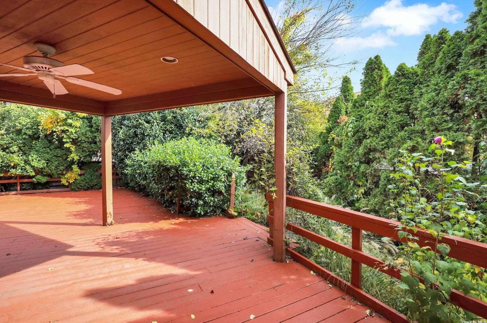 24 Princeton Dr, Syosset NY  11791-6743 exterior