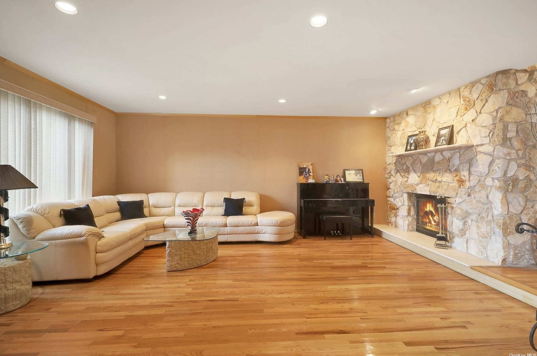 24 Princeton Dr, Syosset NY  11791-6743 exterior