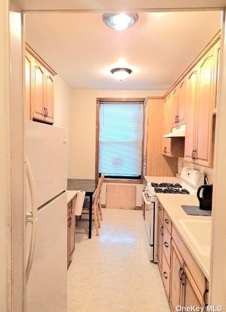 155 Lott St, Brooklyn NY 11226-4092 exterior