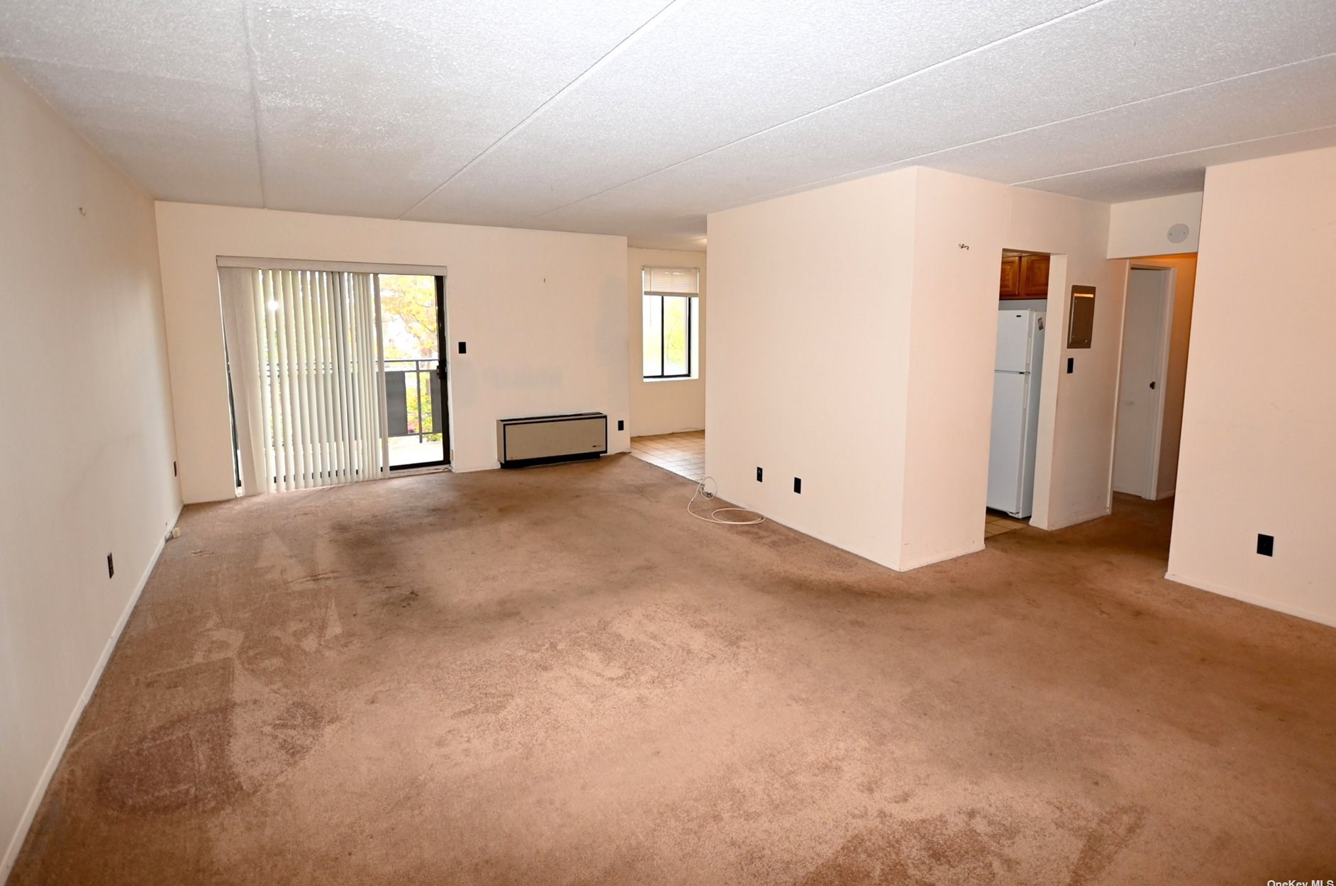 175 Maple Ave #3e, Westbury, NY 11590