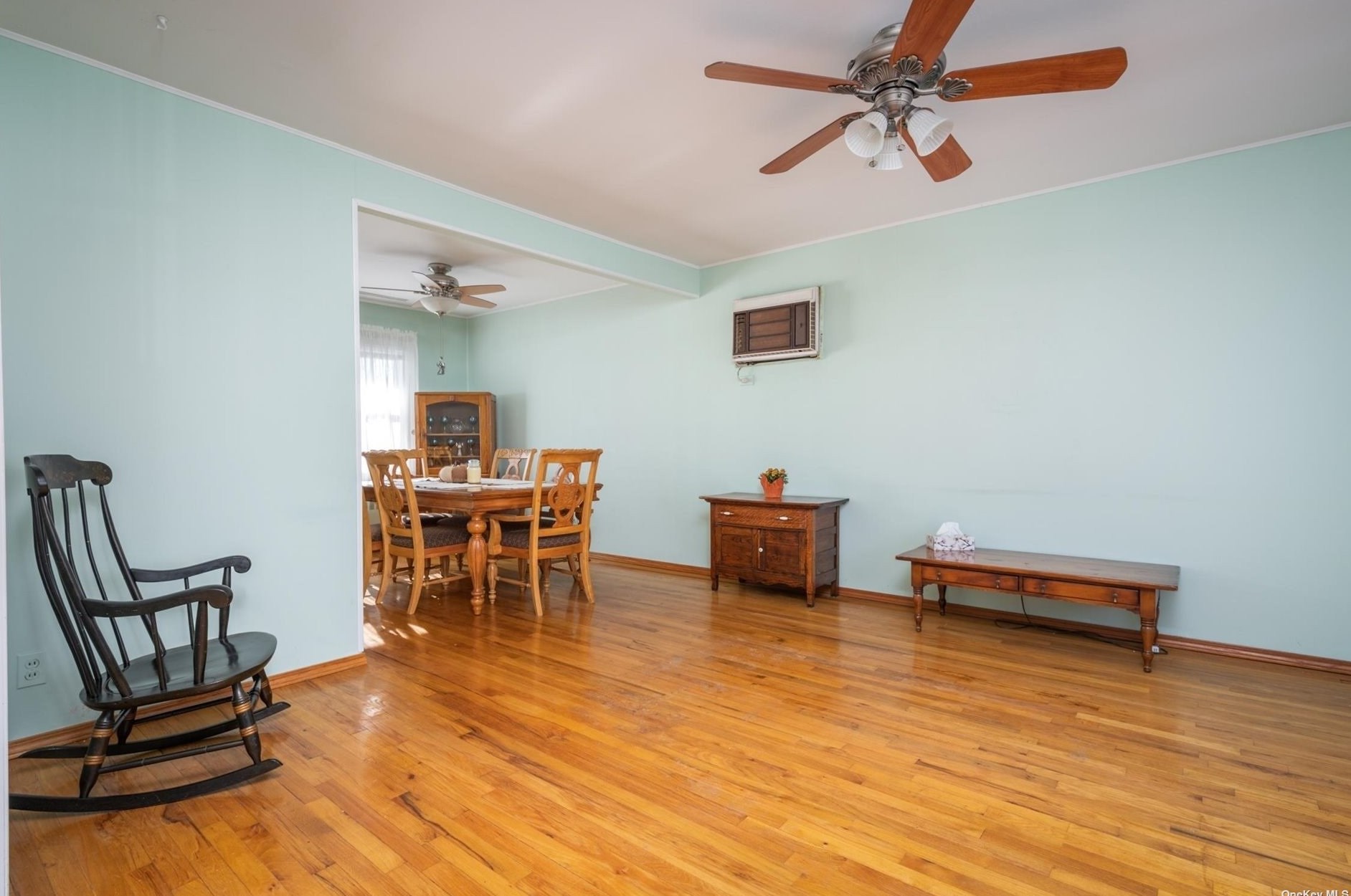 3 Lynn Pl, Bethpage, NY 11714