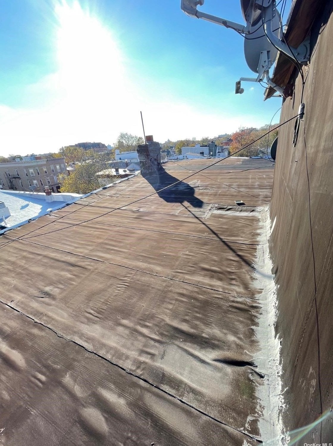 59 Shepherd Ave, Brooklyn NY 11208-1225 exterior