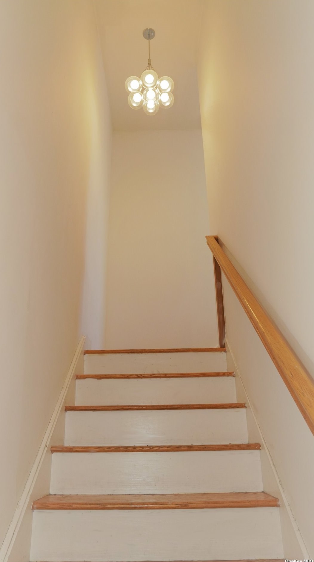 56-34 Remsen Pl #2, Flushing, NY 11378