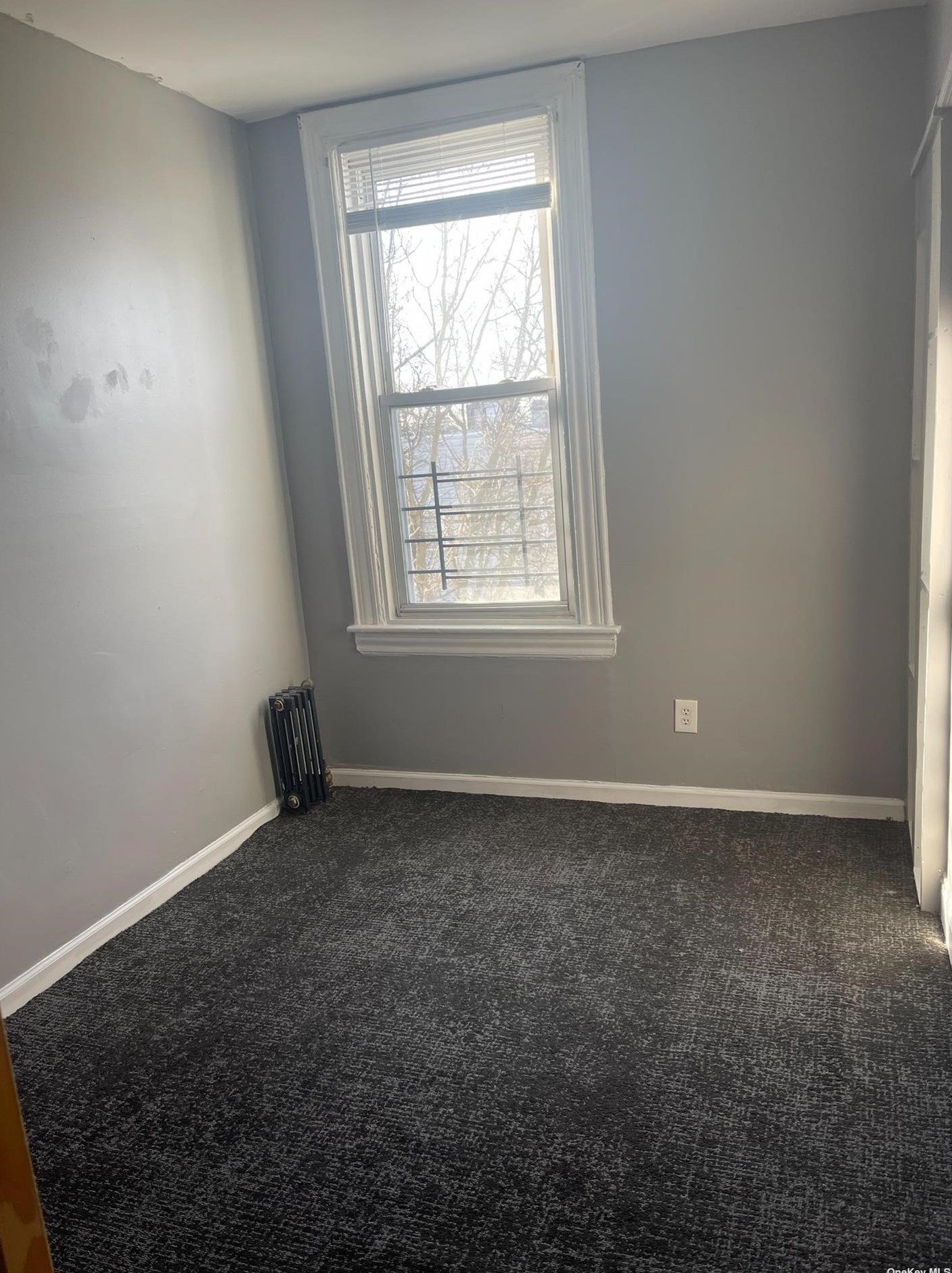 181 Sheridan Ave #3rd Fl, Brooklyn, NY 11207