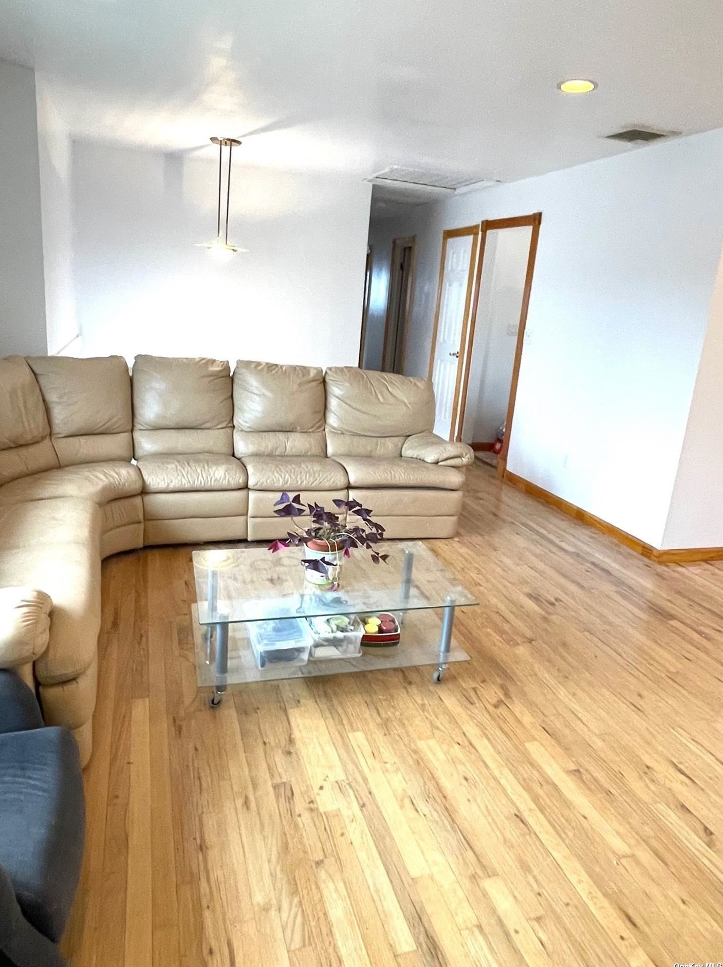 46 Lane Dr, Hicksville NY  11803-5436 exterior