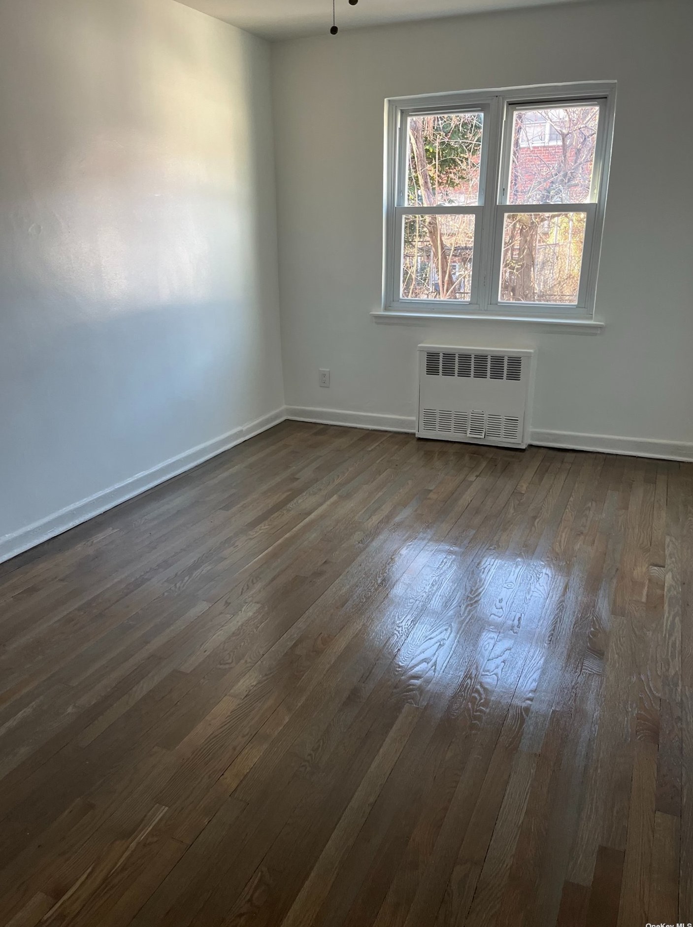 1048 East 100th Street #1, Brooklyn, NY 11236