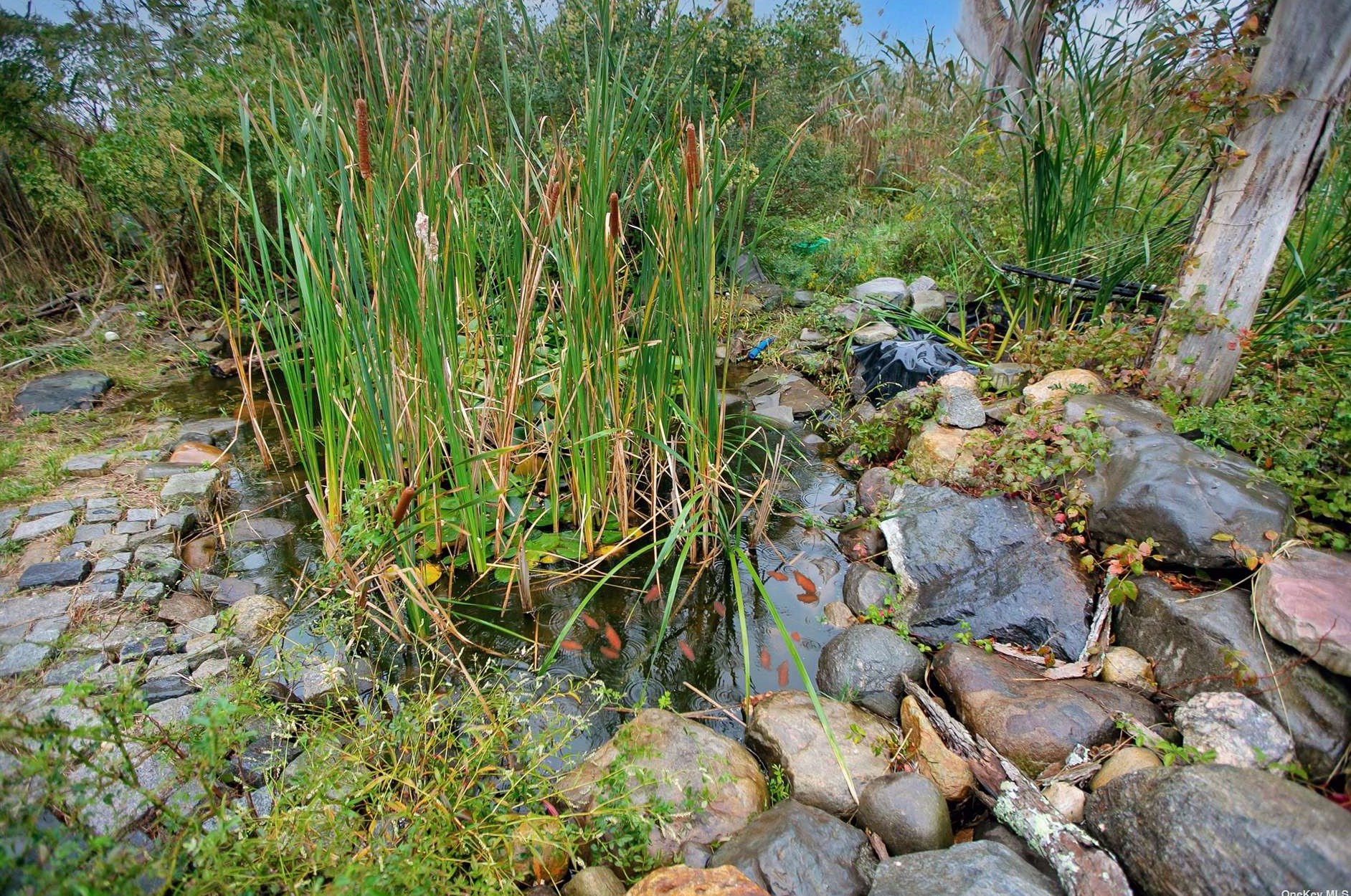 14 Waverly Rd, Smith Point NY 11967-4142 exterior