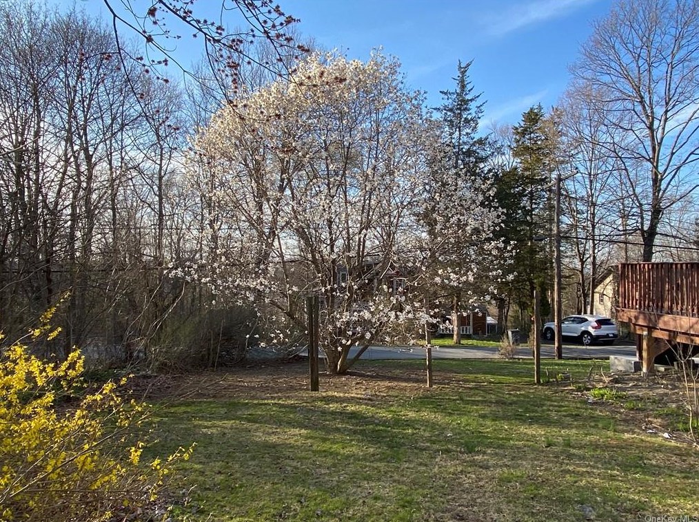 17 Cedar Trl, Monroe NY  10950-6634 exterior