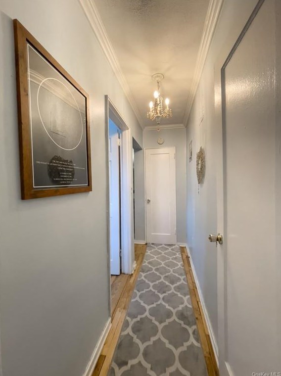 50 Davenport Ave, New Rochelle NY  10805-3626 exterior
