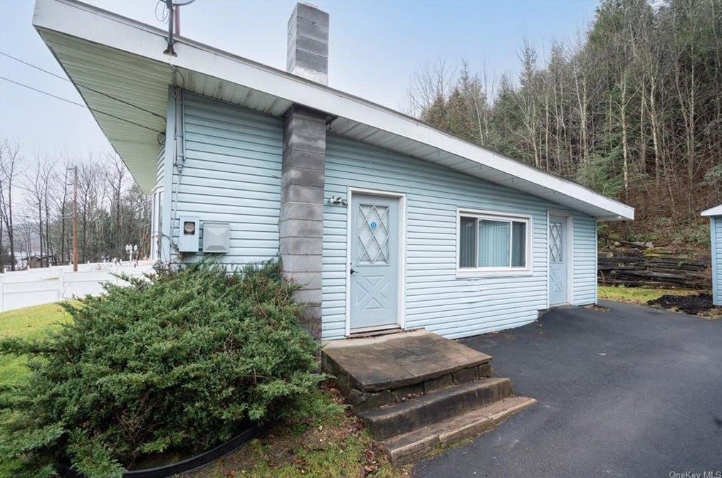 11 Birch Ln, Swan Lake, NY 12783