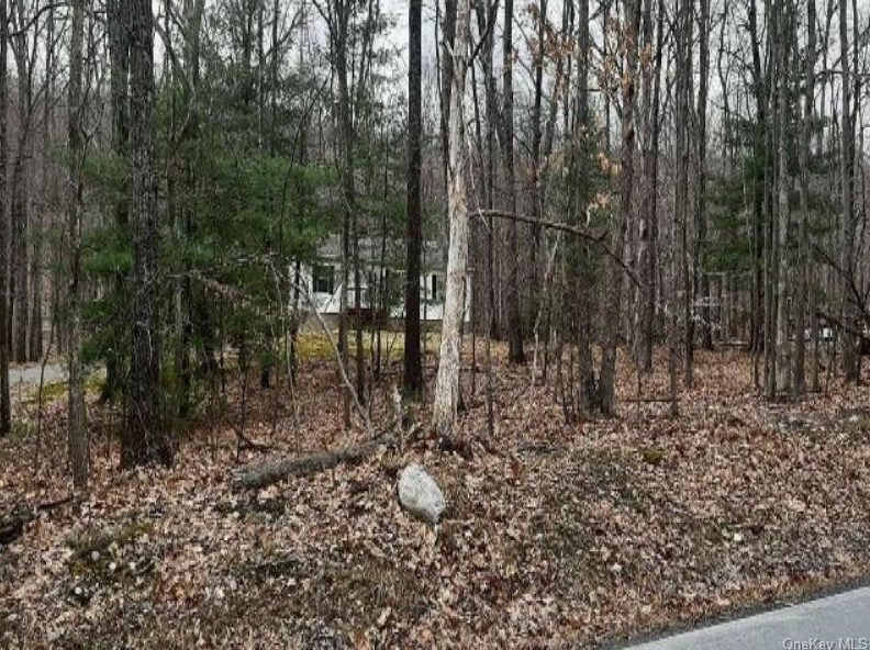 467 Roosa Gap Rd, Bloomingburg, NY 12721