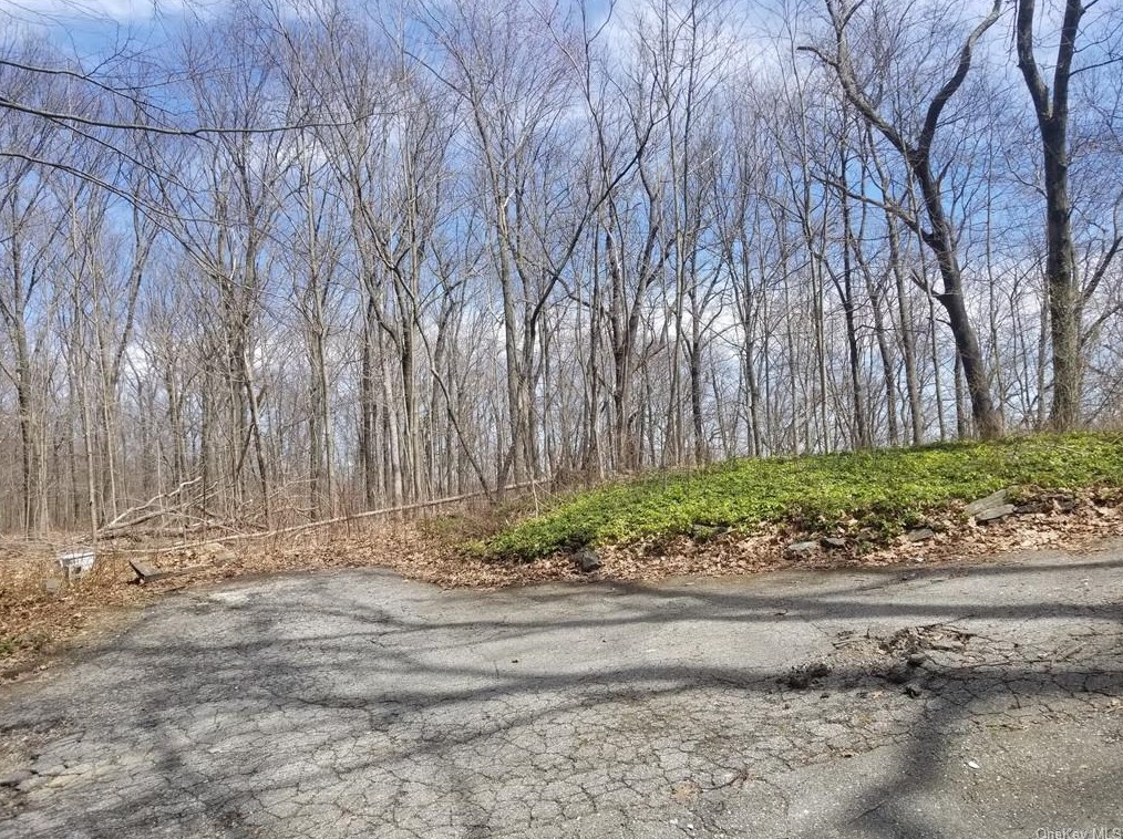 63 De Liso Ln, Mahopac, NY 10541