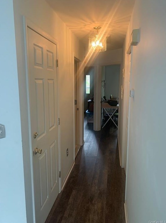 218 Hubert Humphrey Dr, Chestnut Ridge NY  10977-6720 exterior