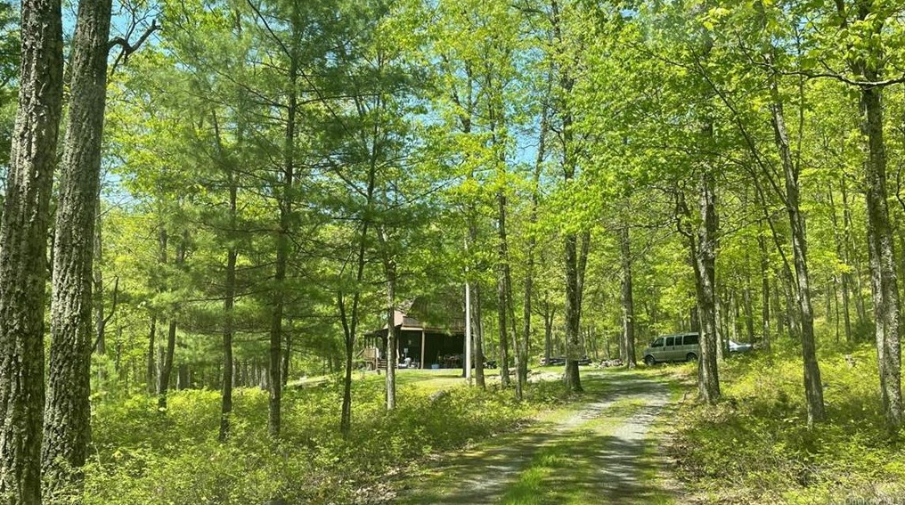 187 Mapes Rd, Barryville, NY 12719