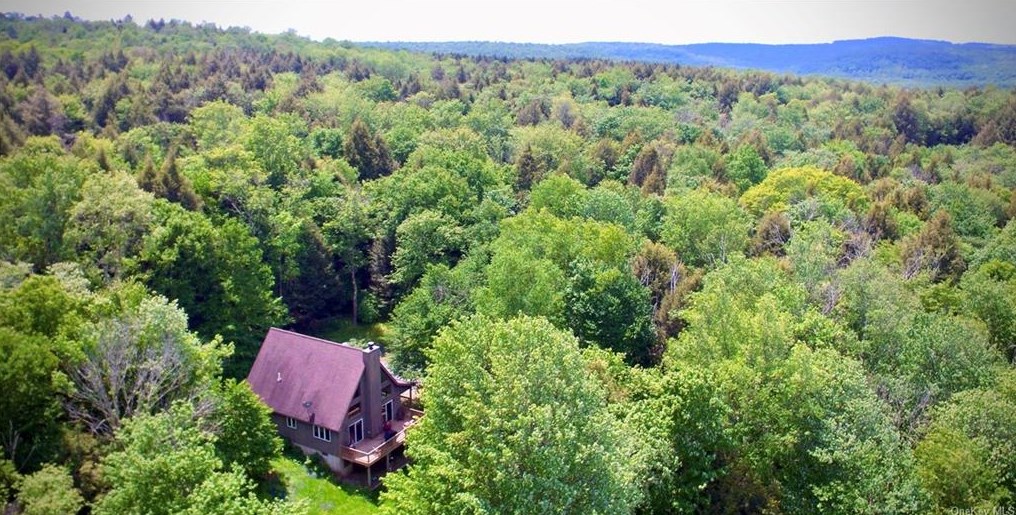 56 Trout Town Rd, Roscoe, NY 12776-4522