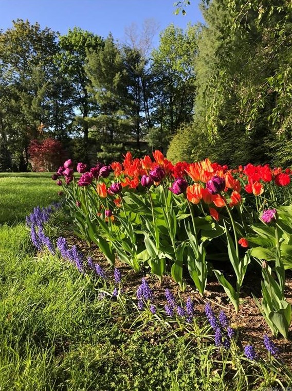 540 Oakridge Pkwy, Peekskill NY  10566-2400 exterior