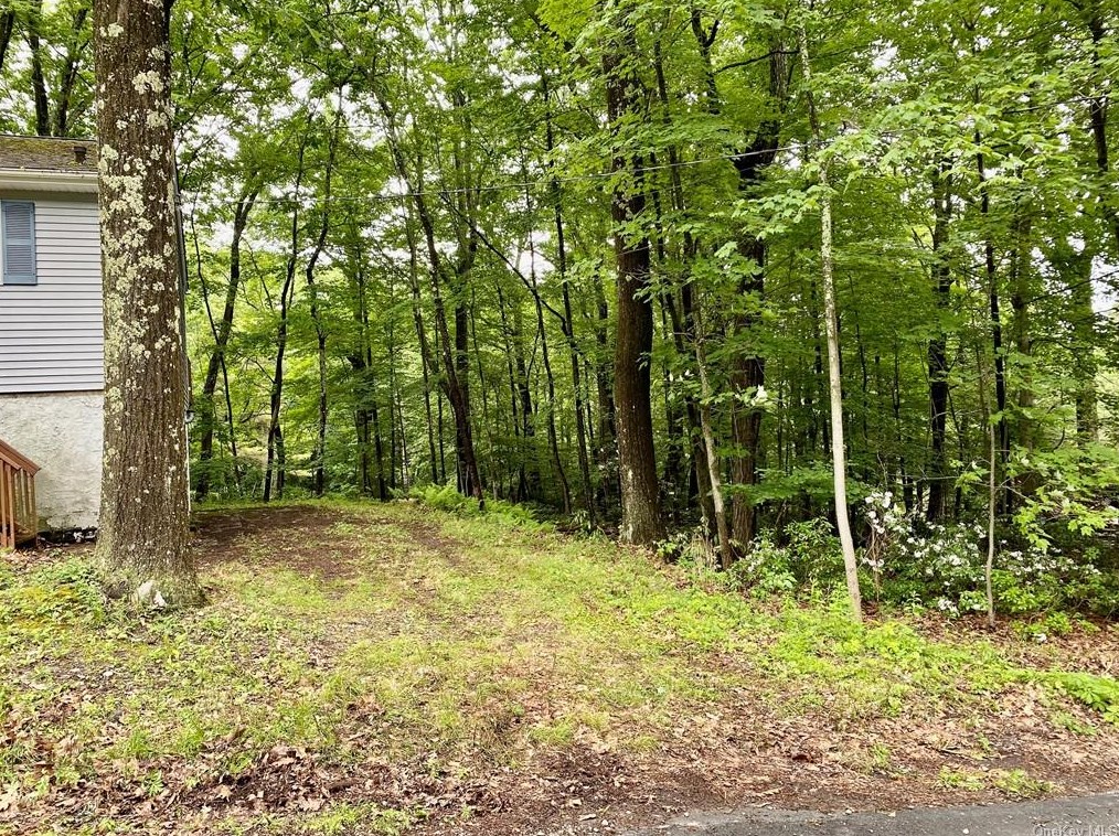 42 Aldow St, Wurtsboro NY  12790-5805 exterior