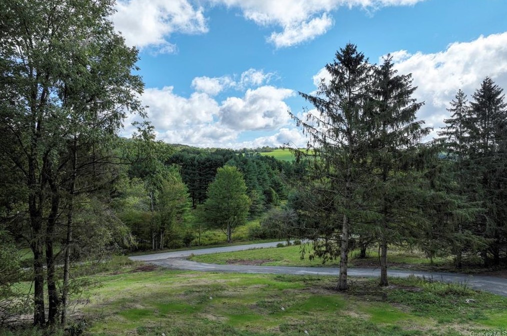271 Schwartz Rd, Callicoon, NY 12723