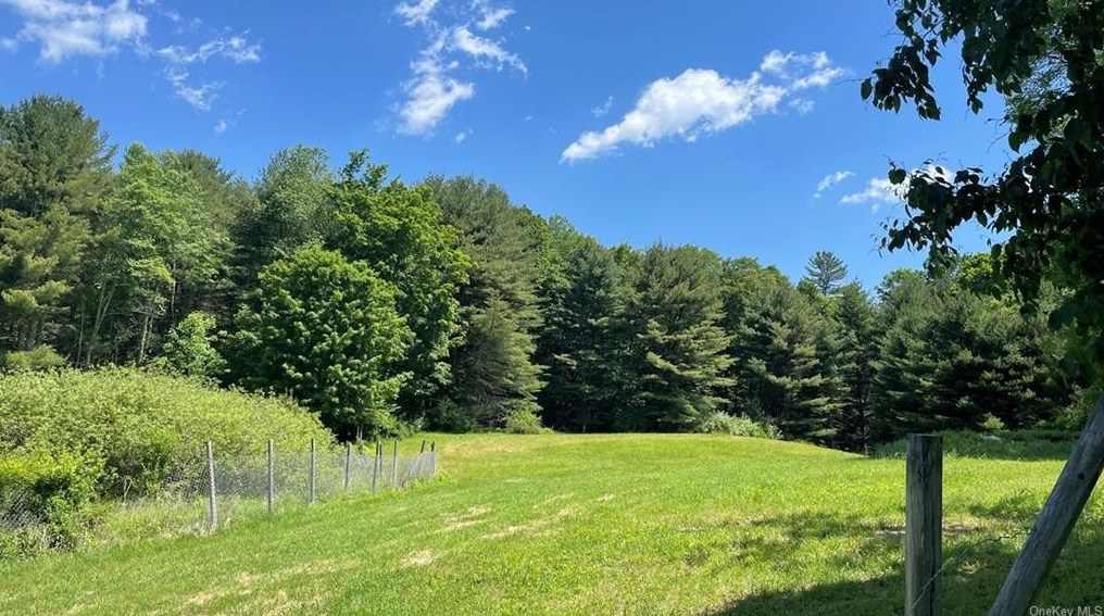 4100 State Route 17b, Callicoon, NY 12723