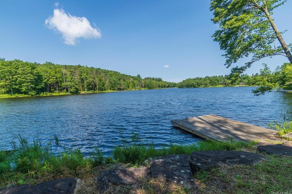 89 Lake Muskoday Rd, Roscoe, NY 12776-6112