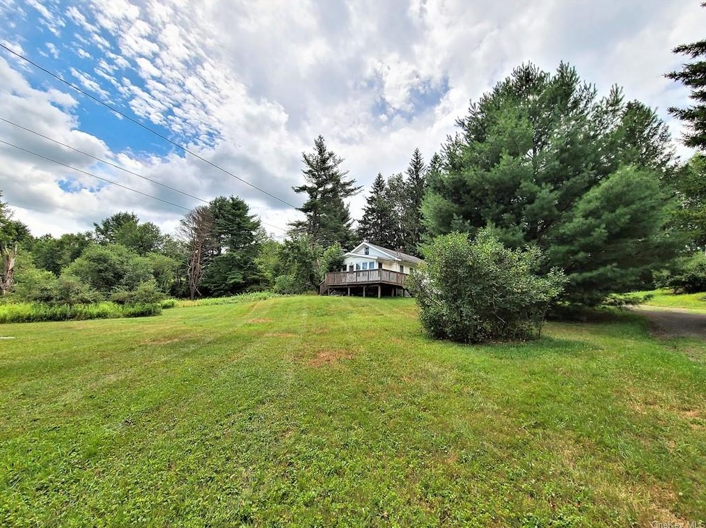 67 Sacks Rd, Harris, NY 12742-5034
