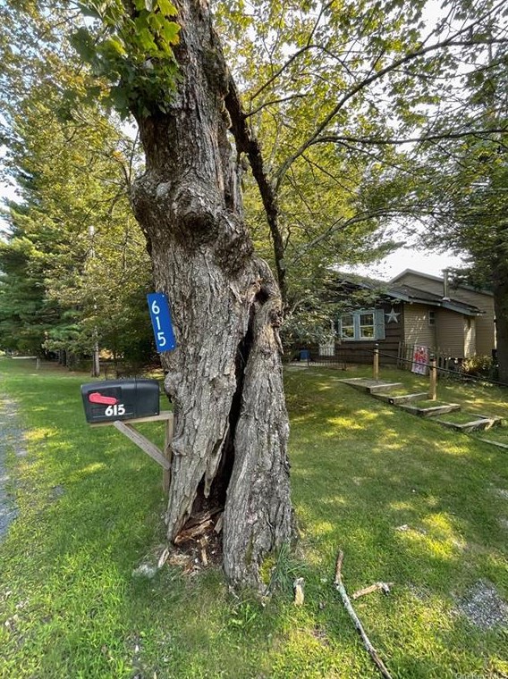 615 Mount Vernon Rd, Wurtsboro, NY 12790-5329