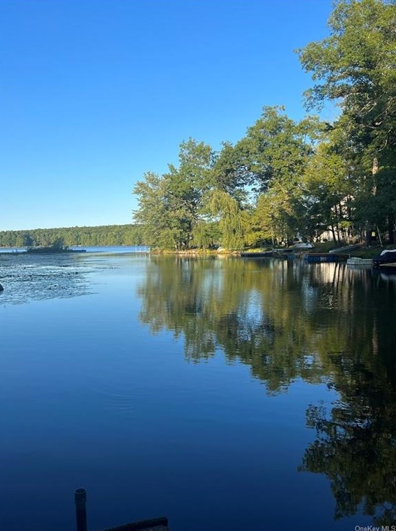 23 Mink Trl, Glen Spey NY  12737-5934 exterior