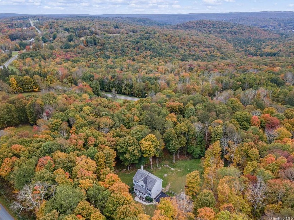 48 Cauthers Ln, Woodridge, NY 12789