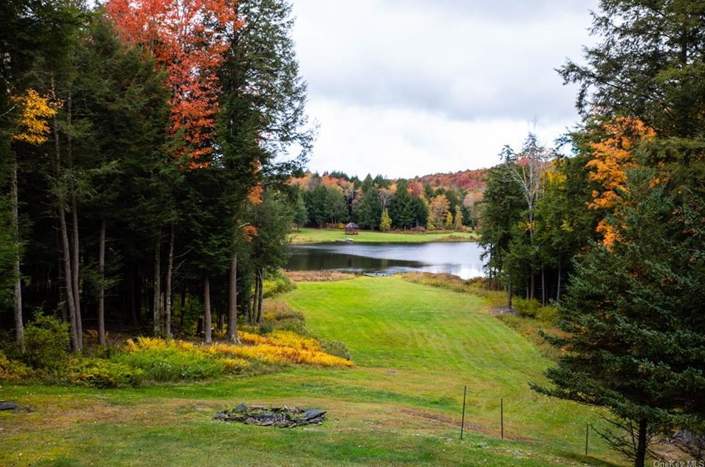 20 Sams Way, Roscoe, NY 12776