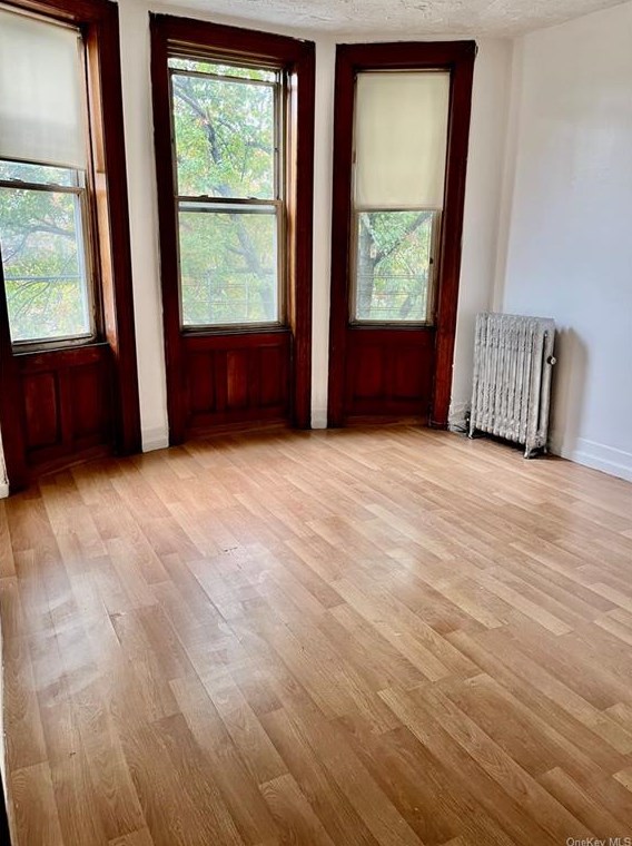 1056 Morris Ave, Bronx, NY 10456