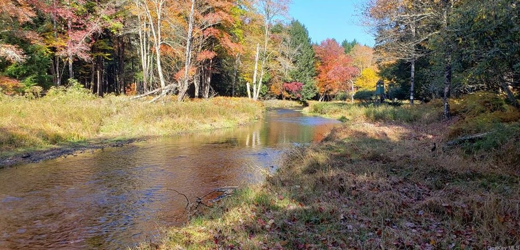 496 Old White Lake Turnpike, Swan Lake, NY 12783