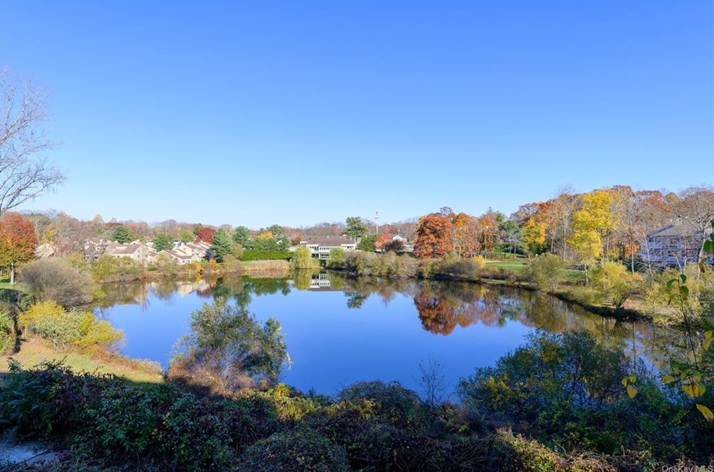 217 Lakeside Dr, Lewisboro, NY 10590