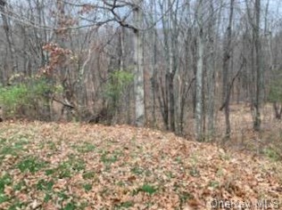 14 10 Jen Acres, La Grange, NY 12540