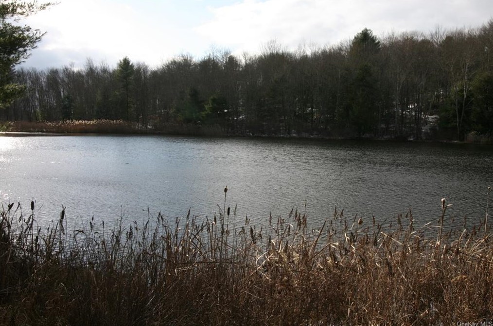 633 Hurd Rd, Swan Lake, NY 12783