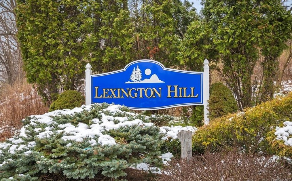 20 Lexington Hl #1, Harriman, NY 10926