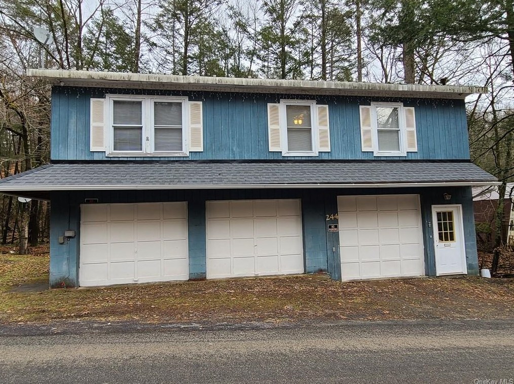 244 Pepacton Hollow Rd, Sundown NY  12740-5518 exterior