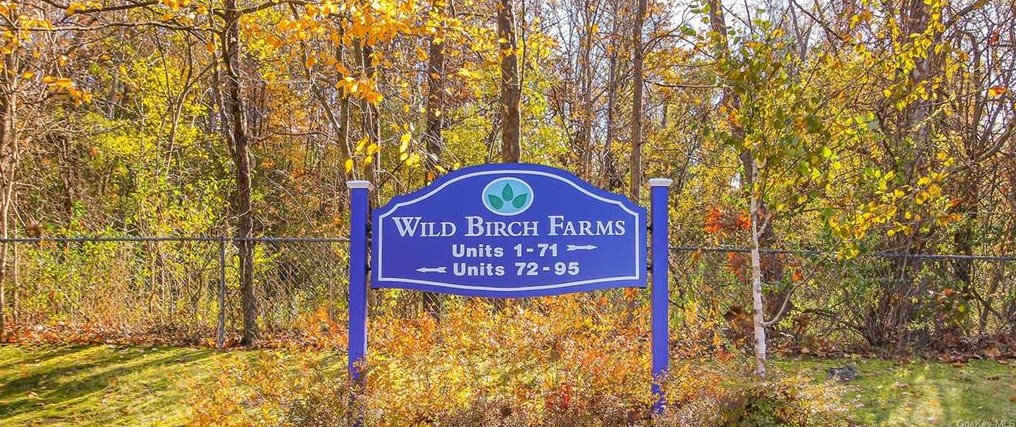 85 Wild Birch Farms, Cortlandt Manor NY  10567-1450 exterior