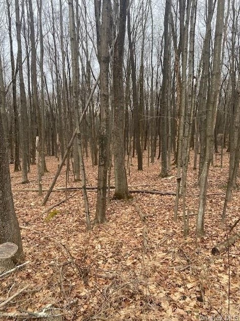 2312 Mountain Rd, Otisville, NY 10963-2235