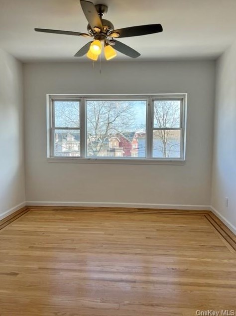 1335 Siegfried Pl #apt 3, Bronx, NY 10465
