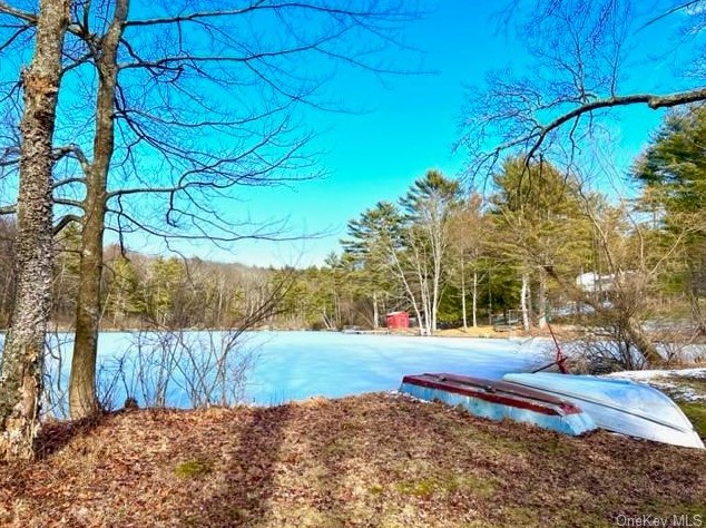 9 Pitio Rd, Glen Spey, NY 12737-5606