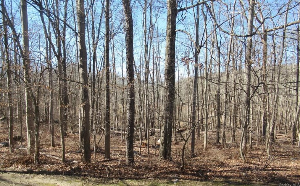 2603 Kings Way, Kent Lakes, NY 10512