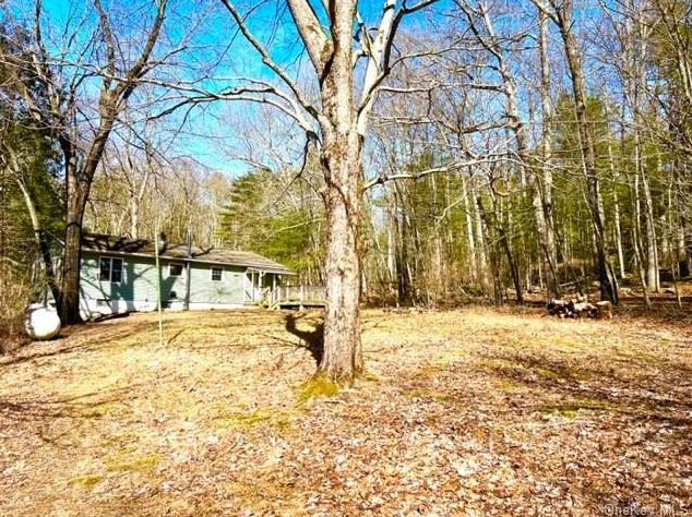 43 Corkscrew Rd, Barryville, NY 12719