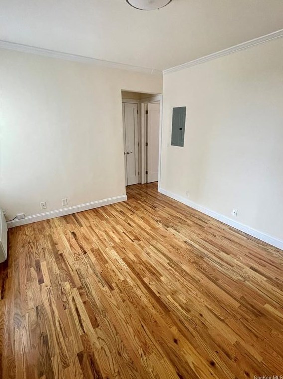 1827 Radcliff Ave #1f, Bronx, NY 10462